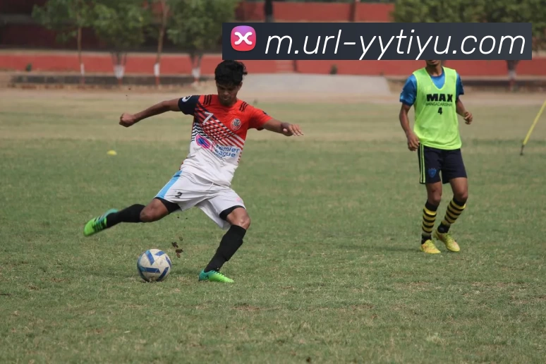 易游体育平台生态图